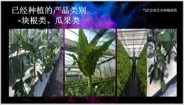 微信图片_20201113152127.png